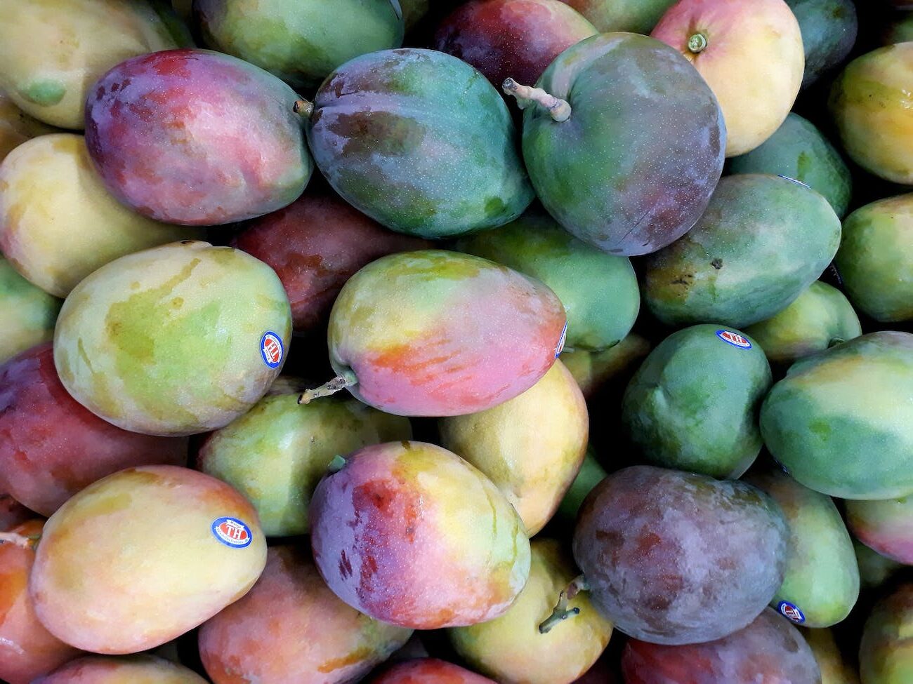 assorted color mangoes
