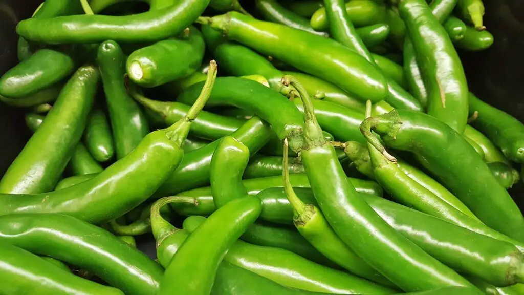 serrano peppers, peppers, chiles