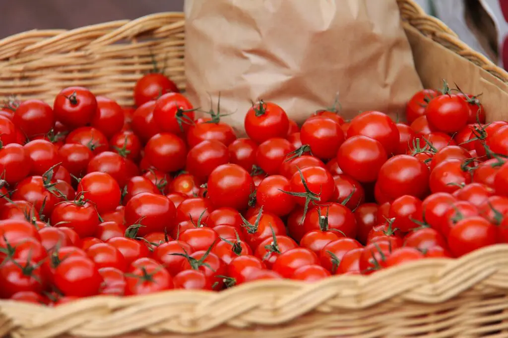 cherry tomato, tomato, red