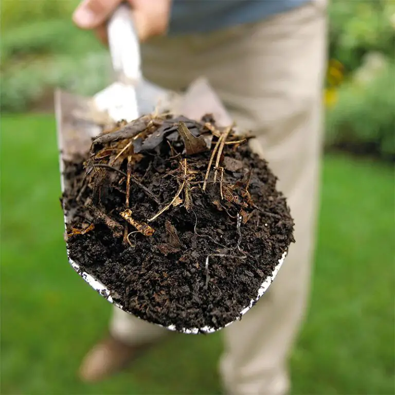 4 Pasos para hacer un Compost Perfecto  Hoy te voy a dar algunos consejos  y buenas prácticas para convertir los desechos de la cocina y los desechos  del jardín en compost
