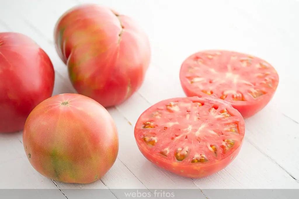 cultivo y cuidado tomate  rosa de barbastro