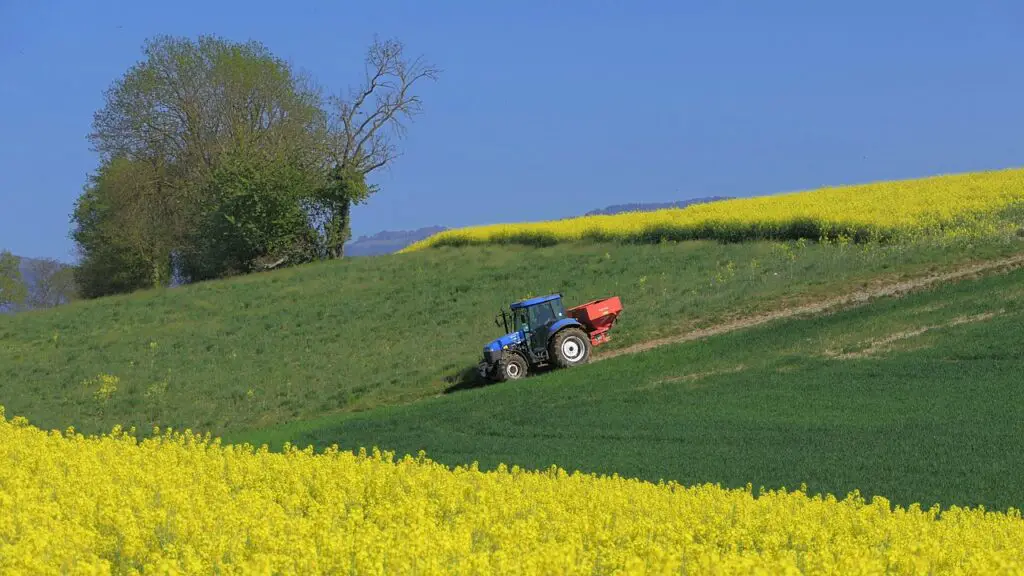 tractor, rapeseed, field