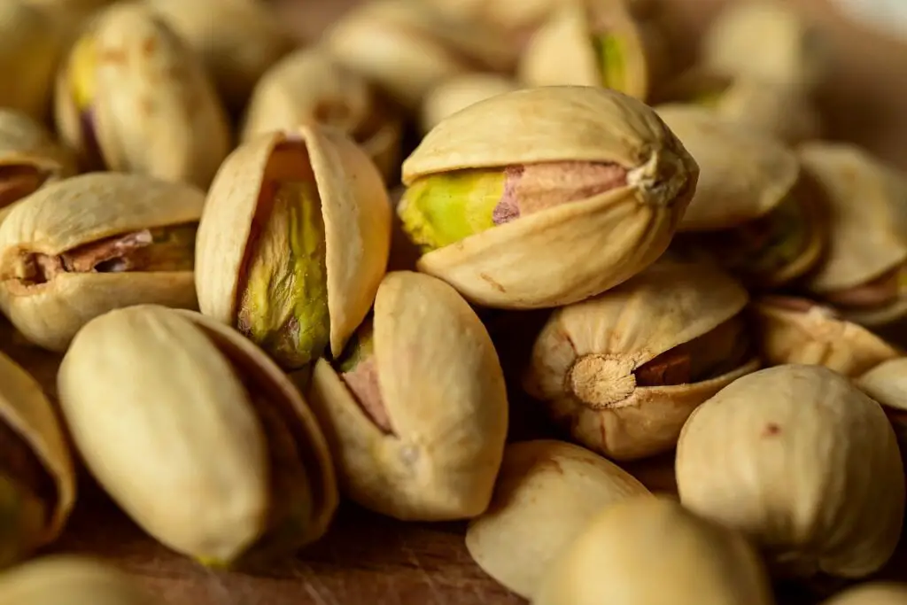 germinar semilla de pistacho